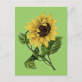 inktvis Dandy Sunflower Briefkaart (Voorkant)