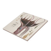 Inktvis, Dier uit de Oude Wereld van de Mariene Di Tegeltje (Zijkant)