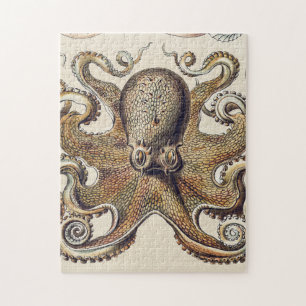  inktvis door Ernst Haeckel Legpuzzel