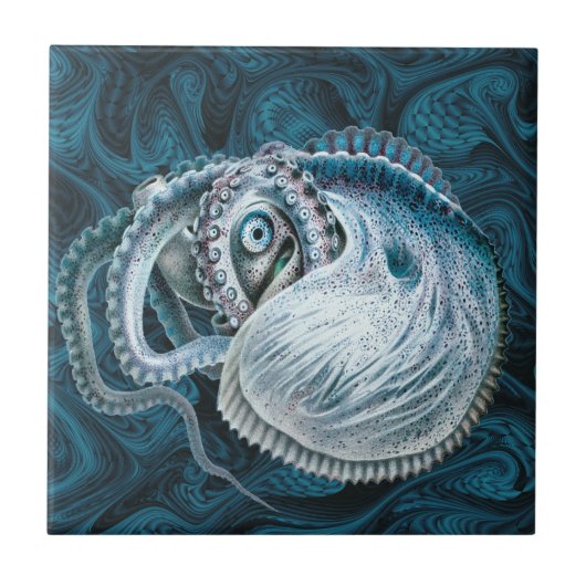 inktvis Nautilus Argonaut Tegeltje (Voorkant)