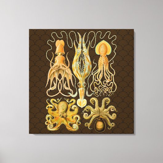 Inktvis Octopus Pijlinktvis Mariene Natuur Canvas Afdruk (Voorkant)