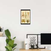 Inktvis Octopus Pijlinktvis Mariene Natuur Poster (Thuiskantoor)