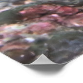 Inktvis Stare-down Poster (Hoek)