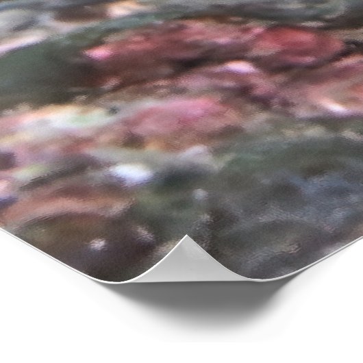 Inktvis Stare-down Poster (Hoek)