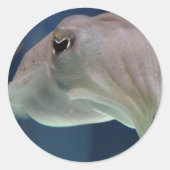 Inktvis stickers (Voorkant)