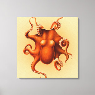 Inktvis Zeemonster Wezen Cephalapod Vintage Canvas Afdruk