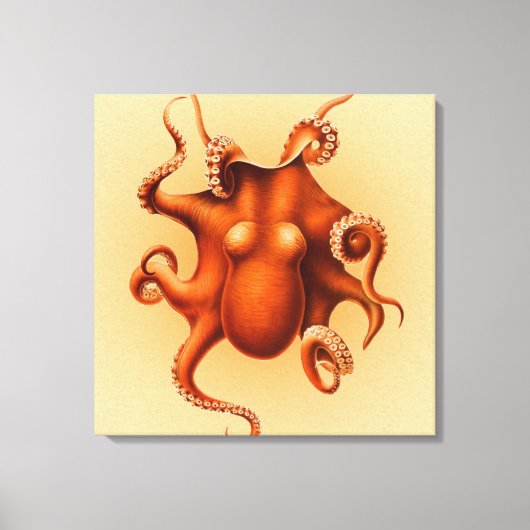 Inktvis Zeemonster Wezen Cephalapod Vintage Canvas Afdruk (Voorkant)