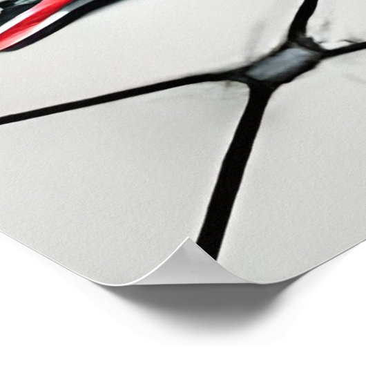 inktviskamer poster (Hoek)