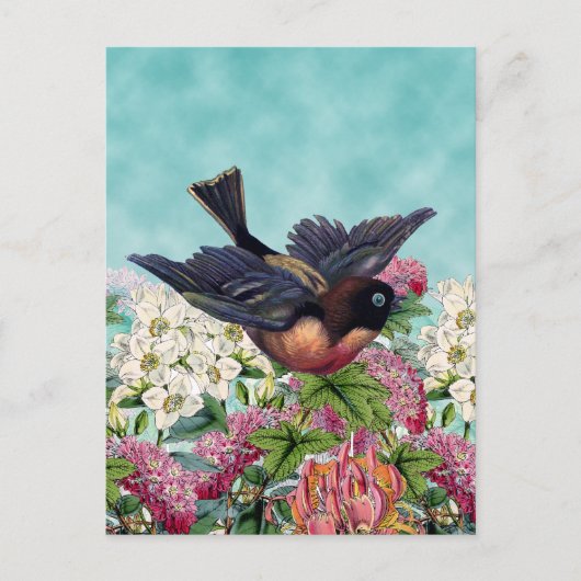 inktvogel met blauwe ogen die over bloemen vliegen briefkaart (Voorkant)