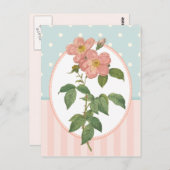  inkuilroze rozen botanische afdrukken briefkaart (Voorkant / Achterkant)