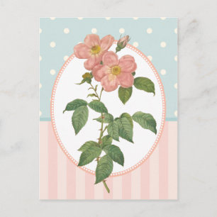 inkuilroze rozen botanische afdrukken briefkaart
