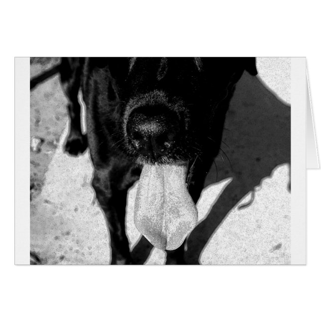 Inky Lulu (Voorkant Horizontaal)