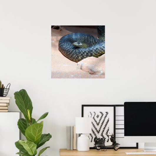 Inland Taipan Poster (Thuiskantoor)