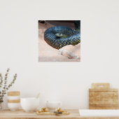 Inland Taipan Poster (Keuken)