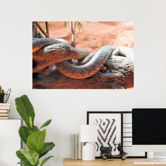 Inland Taipan Poster (Thuiskantoor)