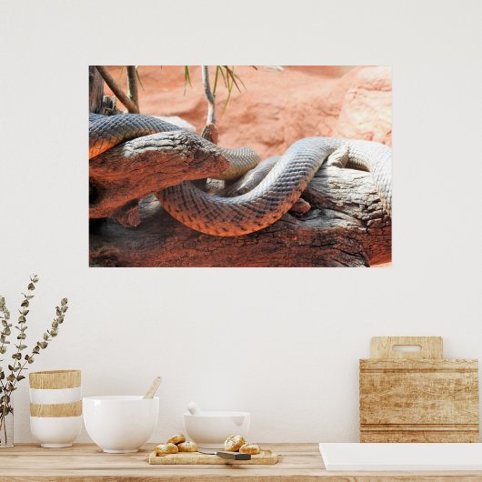 Inland Taipan Poster (Keuken)
