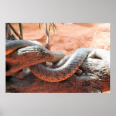 Inland Taipan Poster (Voorkant)