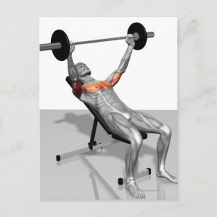 Inline Bench Press Briefkaart