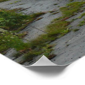 Inn bij Buck Hill Herfsten Poster (Hoek)