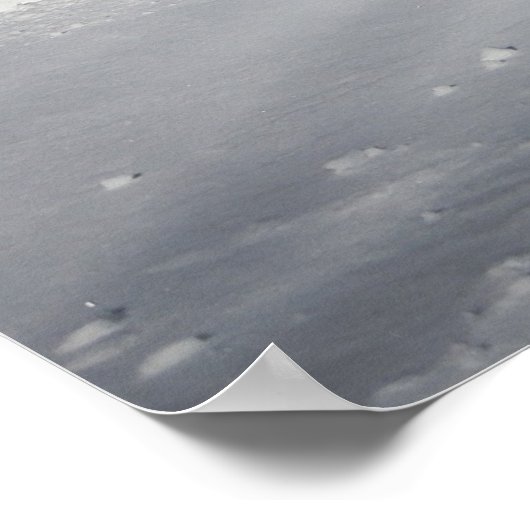 Inname in Stride-Clydesdale op sneeuw Poster (Hoek)