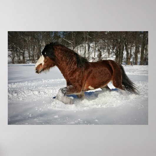 Inname in Stride-Clydesdale op sneeuw Poster (Voorkant)