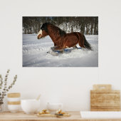 Inname in Stride-Clydesdale op sneeuw Poster (Keuken)