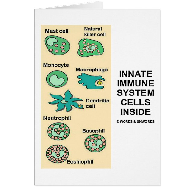 Inname van de cellen van het immuunsysteem (Voorkant)