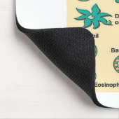 Inname van de cellen van het immuunsysteem muismat (Hoek)