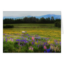 Inname van het Uitzicht