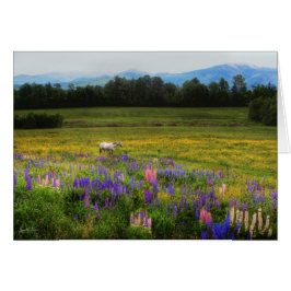 Inname van het Uitzicht