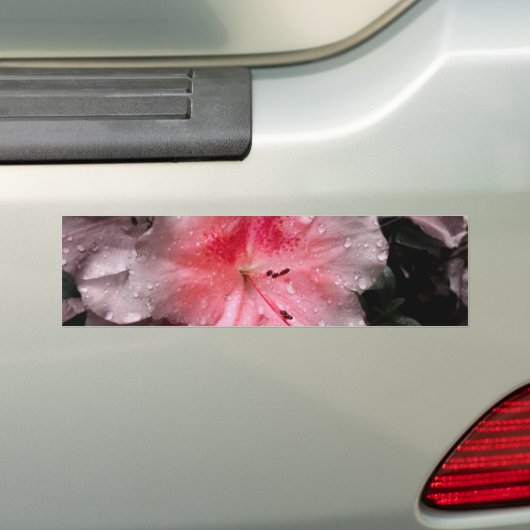 Inner Glow Bumpersticker (Op auto)