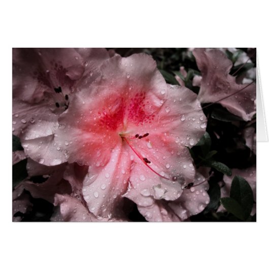 Inner Glow Kaart (Voorkant Horizontaal)