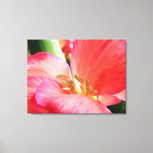 Inner Sanctum Two Canvas Print (Voorkant)