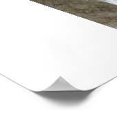 Innocence Bouguereau Madona schilderij Poster (Hoek)