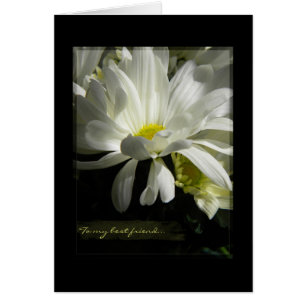 Innocence Daisy blank B