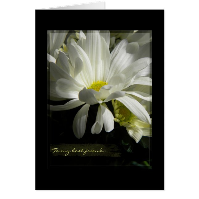Innocence Daisy blank B (Voorkant)