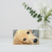 Innocent Abby Visitekaartje (Staand voorkant)