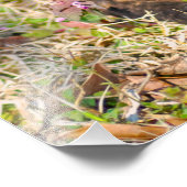 Innocent Brindle Puppy Photo Print Foto Afdruk (Hoek)