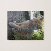 Innocent Cat Puzzle Legpuzzel (Horizontaal)
