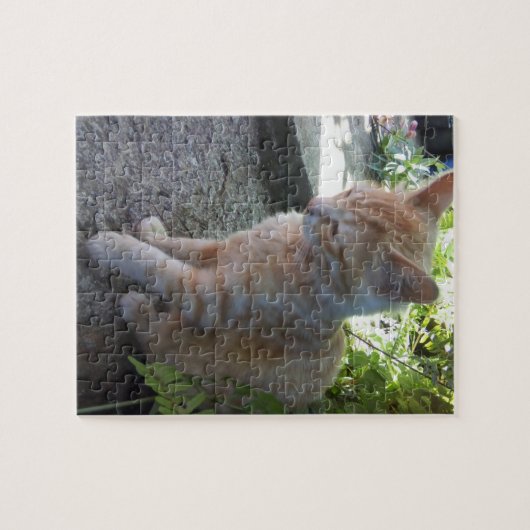 Innocent Cat Puzzle Legpuzzel