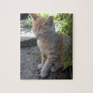 Innocent Cat Puzzle Legpuzzel