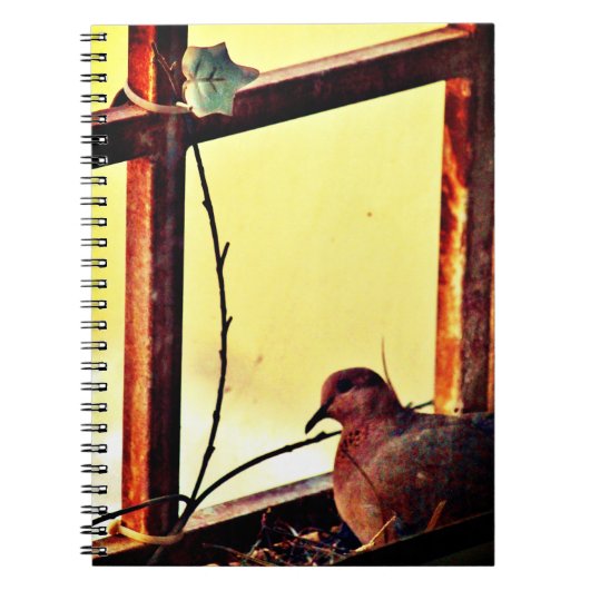 Innocent Dove Notitieboek (Voorkant)