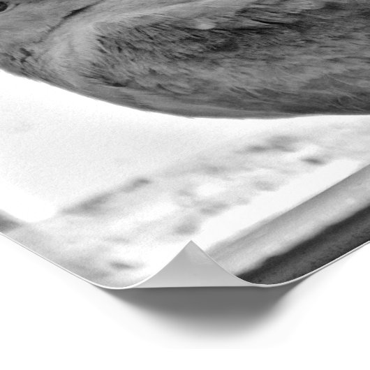 Innocent Dove Poster (Hoek)