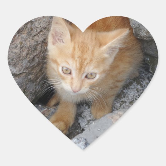 Innocent Kitten Heart Sticker (Voorkant)