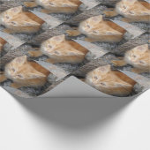 Innocent Kitten Wrapping Paper Cadeaupapier (Hoek)