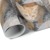 Innocent Kitten Wrapping Paper Cadeaupapier (Rol Hoek)