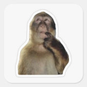 Innocent Monkey Meme Sticker (Voorkant)