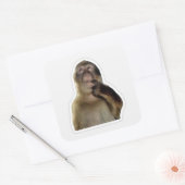 Innocent Monkey Meme Sticker (Envelop)