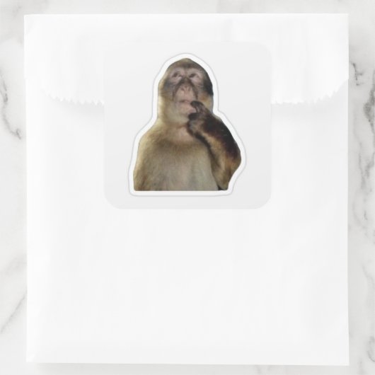 Innocent Monkey Meme Sticker (Tas)