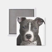 Innocent Pitbull Puppy Magnet (Voorkant / Achterkant)